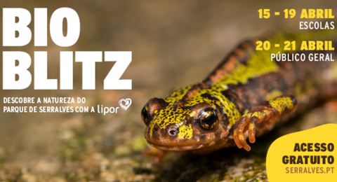 BIOBLITZ | Discover the nature of Serralves Park with LIPOR and its Associated Municipalities April 15 to 21