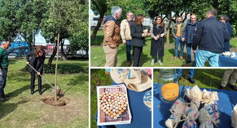 Matosinhos presents the results of the Rolha a Semeie Recolha project with the symbolic plantation of a tree