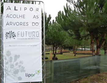 FUTURO – projeto das 100.000 árvores na Área Metropolitana do Porto