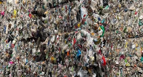 Cidadãos dos oito municípios da Lipor unidos na aposta pela Reciclagem
