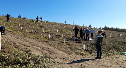 Cork by cork we are sowing the collection in Maia and Vila do Conde with more than 1500 trees planted