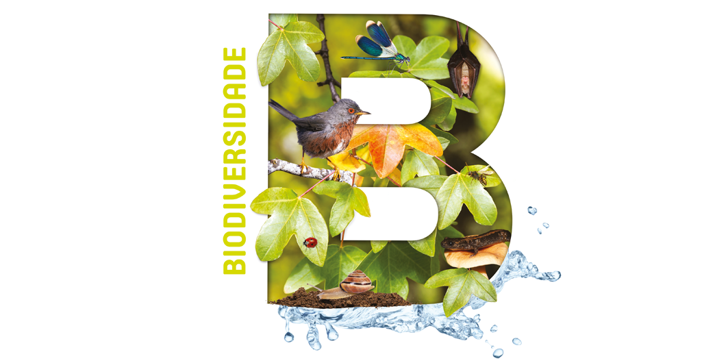 Letter B decorated with animals and plants